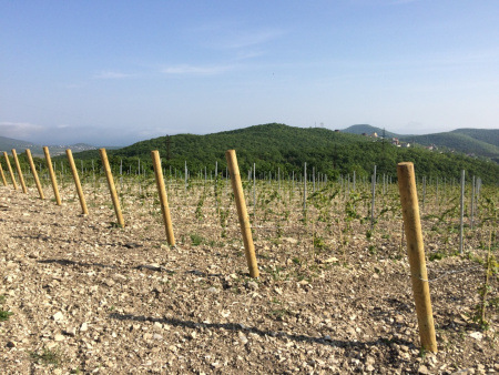 Столбы деревянные оцилиндрованные Столбы деревянные оцилиндрованные