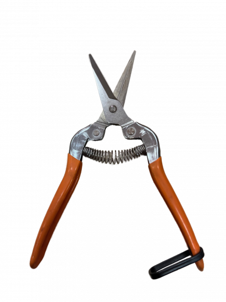 Ножницы для винограда 19,5см из нержавеющей стали с прямым лезвием 55201(Агротехимпорт)