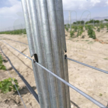 Столбы шпалерные оцинкованные Столбы шпалерные оцинкованные