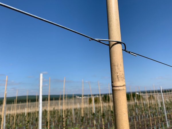 Скоба Стебофикс (для бамбука) Скоба Стебофикс (для бамбука)