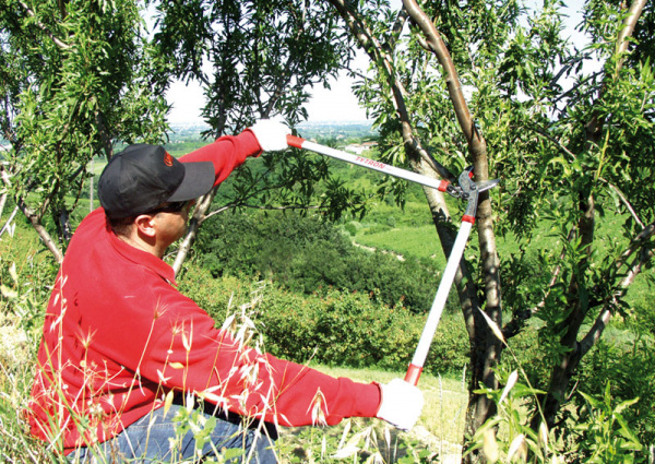 Сучкорез LISAM TYTRON Сучкорез LISAM TYTRON