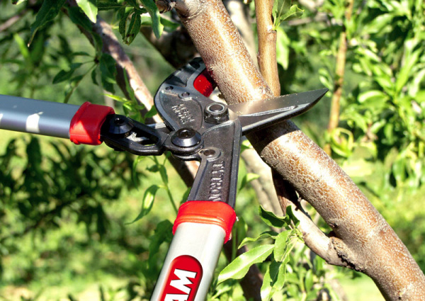 Сучкорез LISAM TYTRON Сучкорез LISAM TYTRON